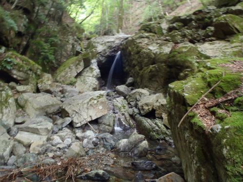 なんかしょんべんみたいな滝