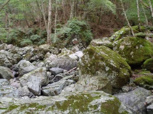 二俣のペンキが見えた