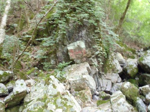 ブレてるけど、←がモジキで→がバリゴヤと書いている。ここから大滝目指す予定だったが戻るのにかなり面倒なことになりそうなので、ここからピストンで戻ることになった