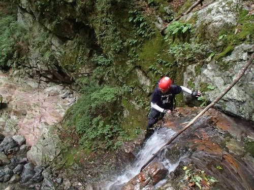 ここからは頂いた画像です