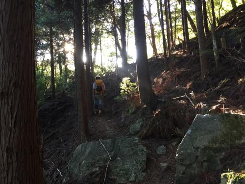 川合道まで登っていきます。最初はジグザグ道