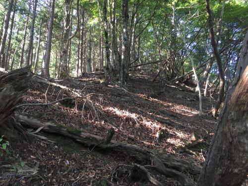 急登で汗だくは体力やられていく