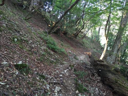 このトラバース地点にきたら、あともう一登り