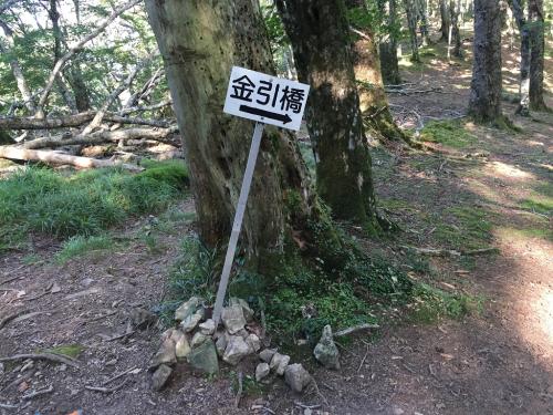 やっと金引尾根分岐まできた
