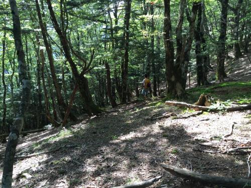 ナベの耳のこの付近から頂仙岳をトラバースしていきます