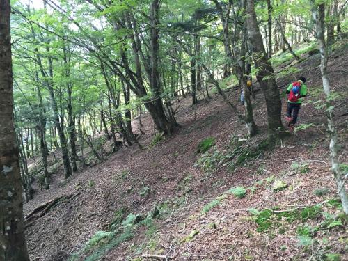 トラバースが続く