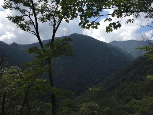 視界が開けたところから迷ヶ岳？が見える