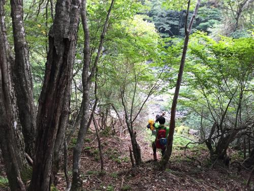弥山川が見えた