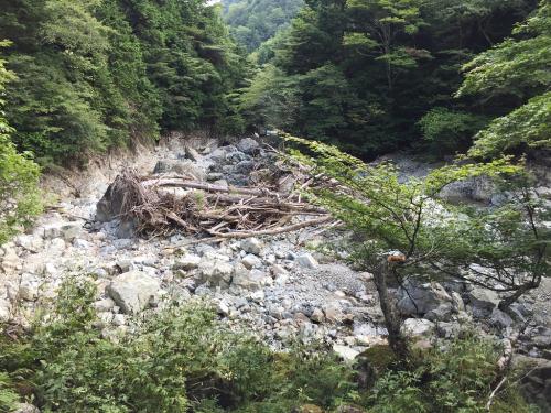 旧河原小屋のちょい手前のところに降りてきた