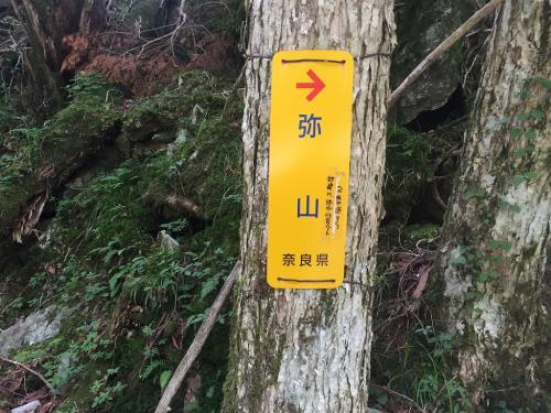 降りてきた地点にあった看板には対岸に川合道へ登っていけるみたいなこと書いてあるけど、これ取次がよくわからないと思う