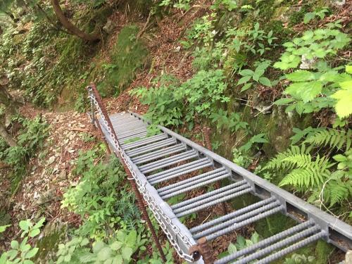 双門ルートらしい階段