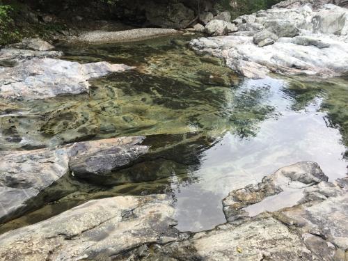 透き通った沢