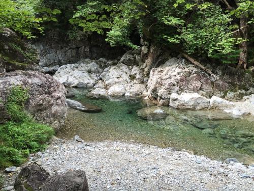 やっぱ弥山川は綺麗だ