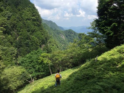 笹原を無理矢理歩いていく