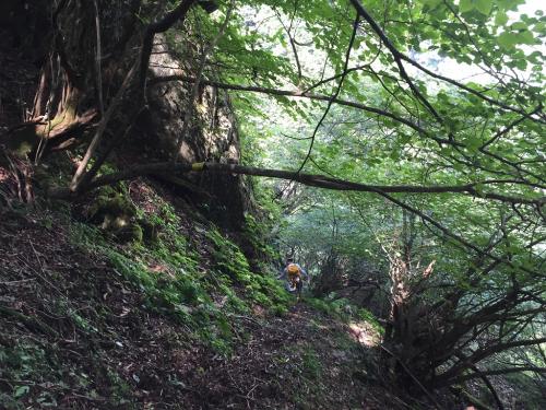 浮石が多く、持つところも限られているところが数か所あるがほぼ無理矢理下っていく。ちょっと降りていったところにテープは巻いてあったので辿っていく。二か所ほど落ちると奈落の底みたいなところをトラバースもしました。