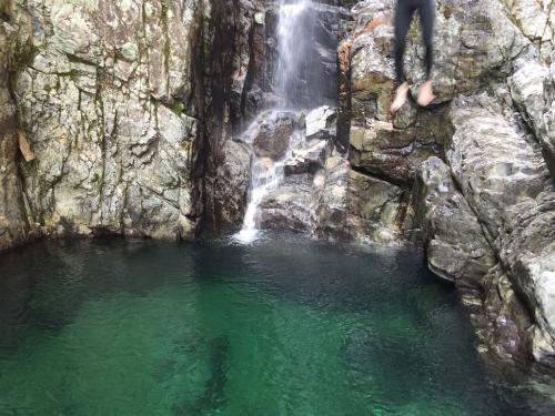 連射失敗して、この後の写真は全部アウトだった。最初の足だけかい！この後、携帯を落としたりしてもうカメラ撮影は終わり。次からは頂いた画像を載せておきます