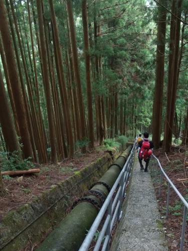 トサカ尾根を経て川迫ダムへ降りて行った。最後のこの階段がとんでもなく長い