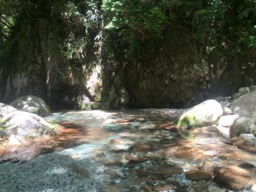 相変わらず綺麗な沢