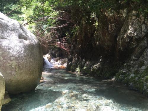 神秘的かつ水がやっぱキレイ