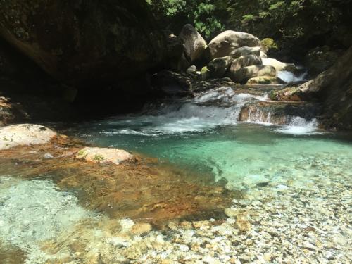 大峰ブルー。今年も相変わらず綺麗だ