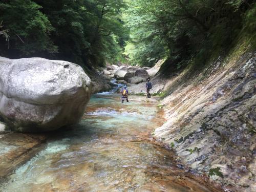 じゃんじゃん進んでいきます