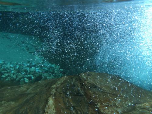 水の中はやっぱサイダーみたいだ