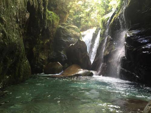箱状廊下に到着して、今年はこの中に入ってみた。ちなみに時間が押してたので今日はここまで