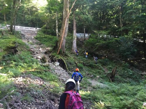 最後の林道までの登りがしんどい