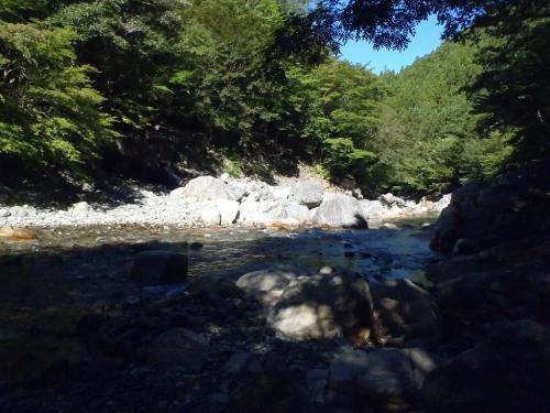 入渓ポイントはここから