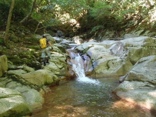 遡行していきます