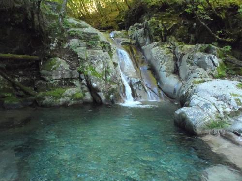なかなか綺麗な水