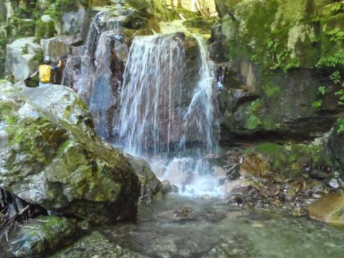 続いてこの滝、実際みるとちょい神秘的