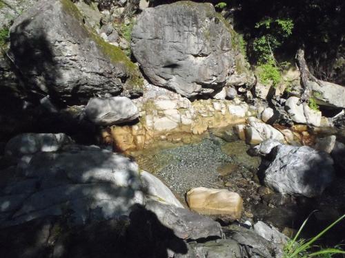 陽が当たると水は透き通っている