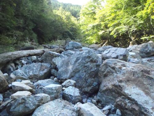 あっもしかしてここがゴーロと呼ばれるところかな！？