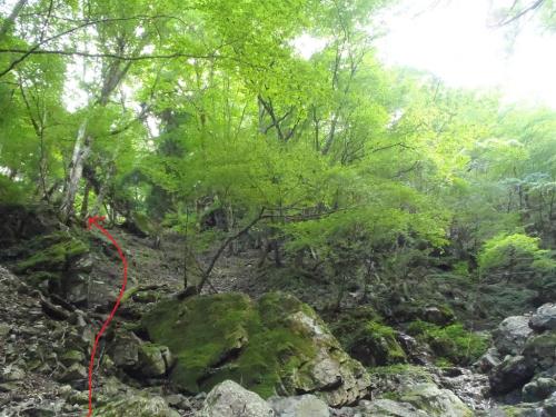 ここから左側の尾根に無理矢理登る