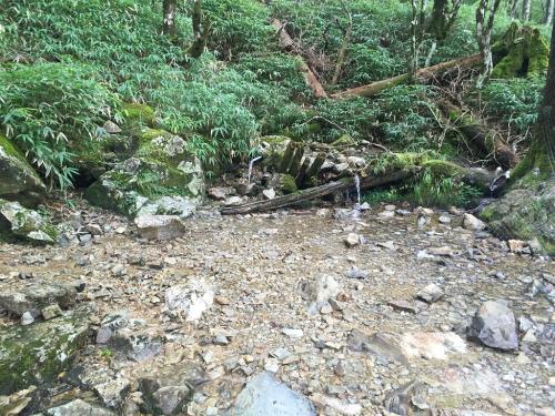 いつも思うが、ここのは飲めるんだろうか！？