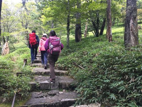 ここから分岐まで階段の登りになりま～す