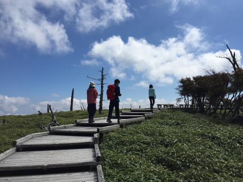 天気がグッド！