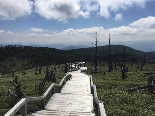 私は大台ヶ原で歩いて一番気持ちの良いところがここ
