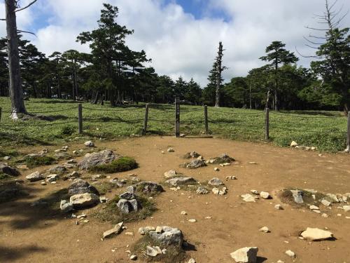 正木ヶ原に到着