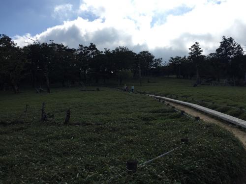 牛石ヶ原の高原地帯に入る