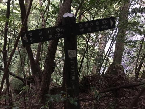 ニコニコ滝に到着