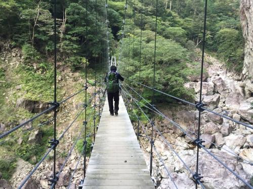 揺れながらわたっていく