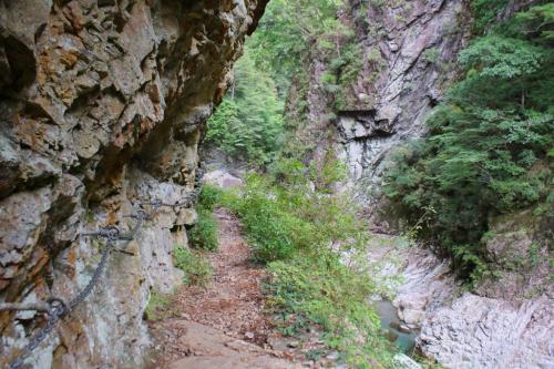 確かに落ちたらかなりヤバそうな崖