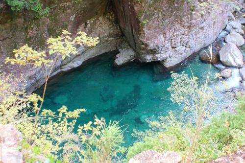 本当に綺麗なエメラルドグリーンの水