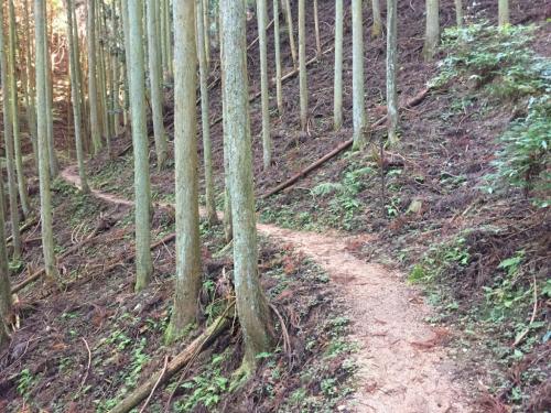 まずは沢沿いのなだらかな道が続く