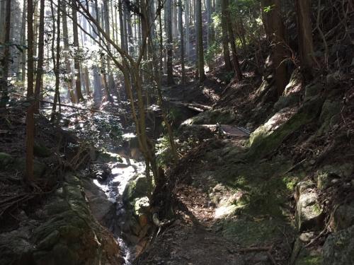 結構雰囲気いい～