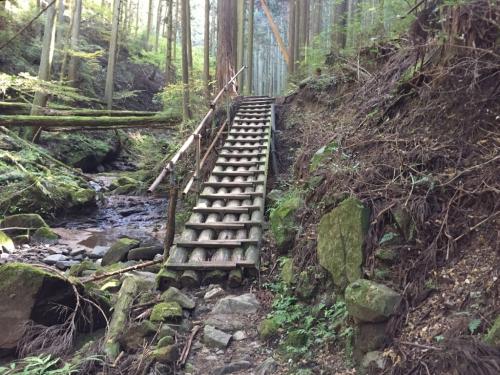 道はきっちり整備されていた