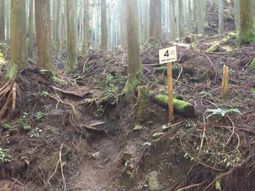 4地点・・・ここまで結構早い