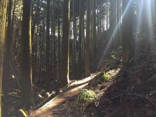 4地点が過ぎてから峠が見えた